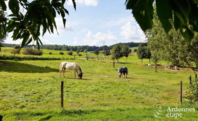 Vakantie op de boerderij in Plombires voor 6 personen in de Ardennen