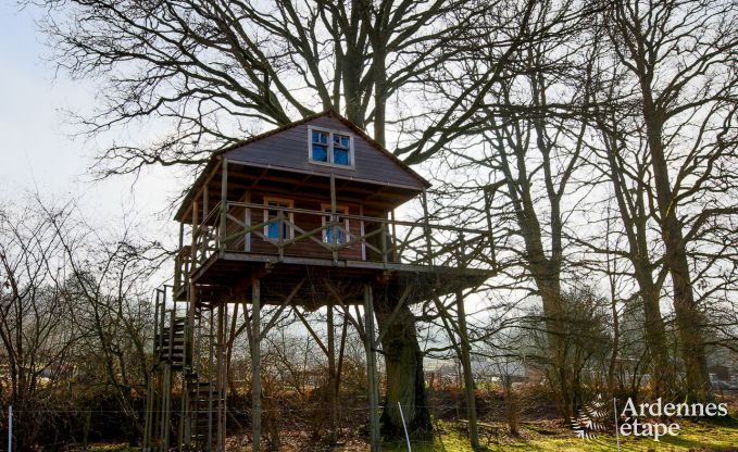 Vakantiehuis in Vielsalm voor 9 personen in de Ardennen