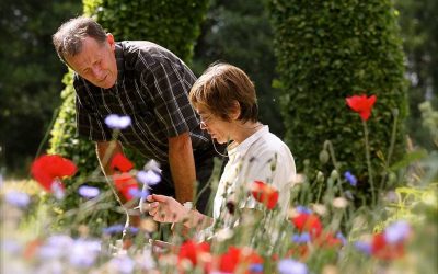 Wedstrijd – win een audit van uw tuin