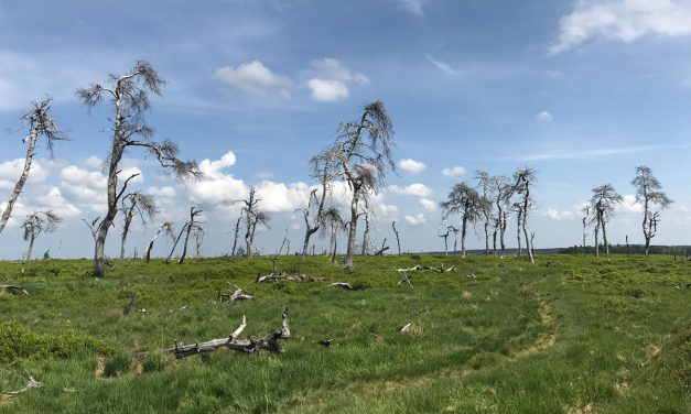 Mythische afspraak in de Hoge Venen