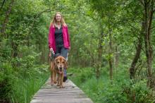 En promenade avec votre chien