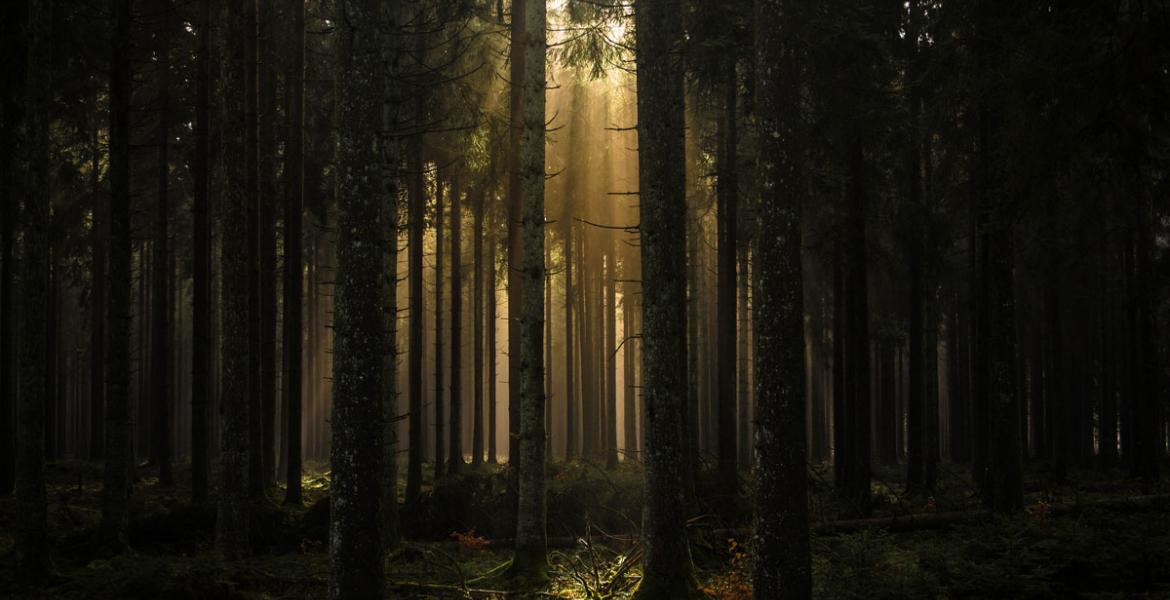Les beautés de l'ardenne