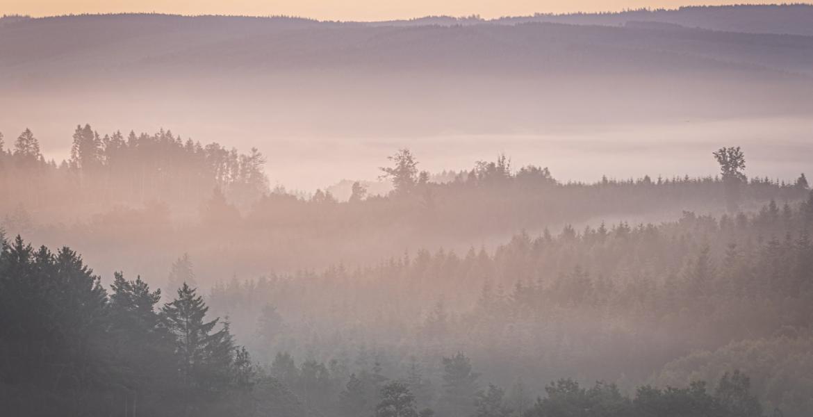 Des activités pour vous reconnecter à la nature