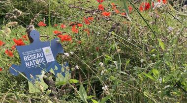 Ardennes étape crée un Programme d’Accompagnement stimulant la biodiversité LOCALE dans les jardins de ses maisons de vacances