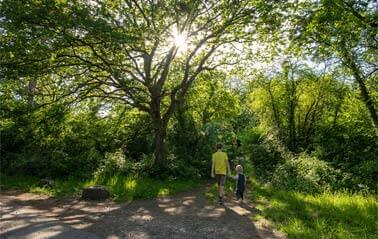                                                             het weekend van 1 mei
                                                    