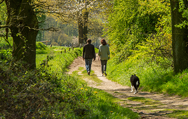 De hond gaat natuurlijk mee