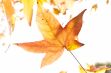 <p>Herfstgevoel: 6 Tips om van de herfst het leukste seizoen te maken</p> - 7