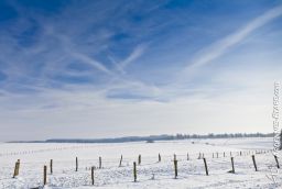 Skipiste van Ferme Libert in Provincie Luik