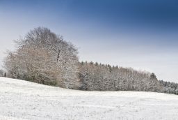 Skipiste van Ovifat Ski Club des Hautes Fagnes in Provincie Luik