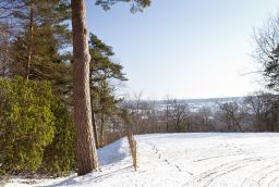 Sleepiste Zosterbach in Provincie Luik