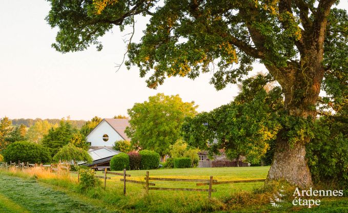 Vakantiehuis in Amel voor 30 personen in de Ardennen