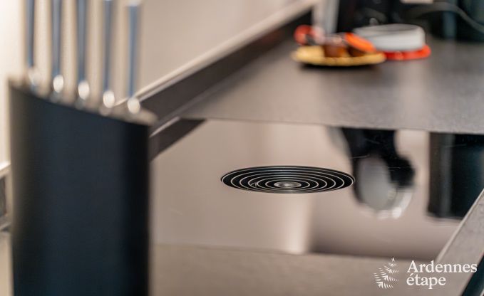 Prachtige vakantiewoning met buitenjacuzzi en sauna in Amel, Hoge Venen