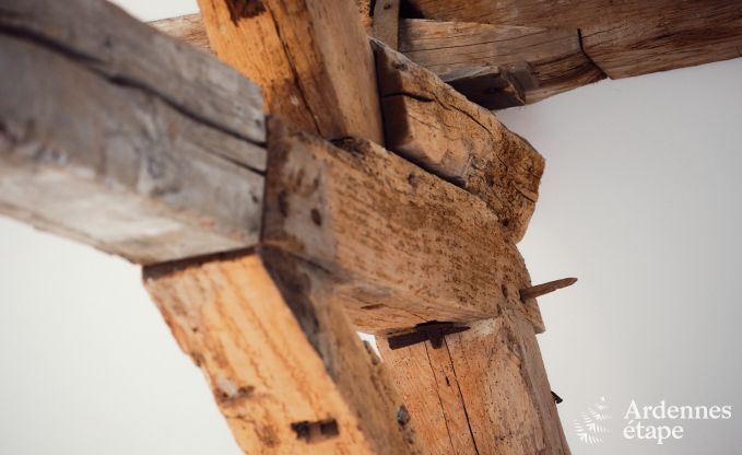 Authentiek vakantiehuis in Andenne, Ardennen