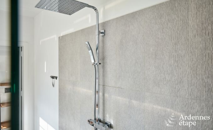 Luxevilla met zwembad en tennisbaan voor 14 personen in Anhe, gelegen in de vallei van de Moligne