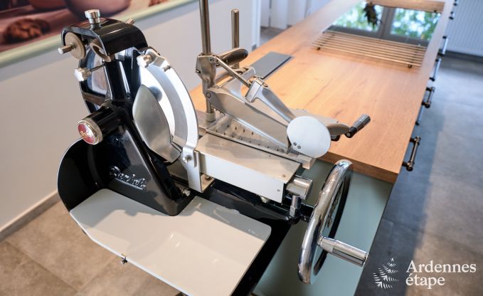 Luxevilla met zwembad en tennisbaan voor 14 personen in Anhe, gelegen in de vallei van de Moligne