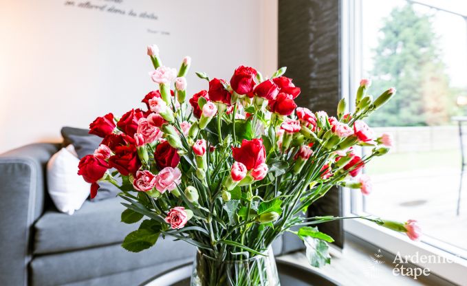 Vakantiehuis voor 2/3 personen in Anh�e, Ardennen