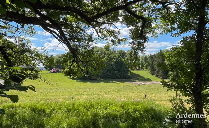 Ruime villa in Assesse, 9 personen met 5 slaapkamers en jullie eigen park