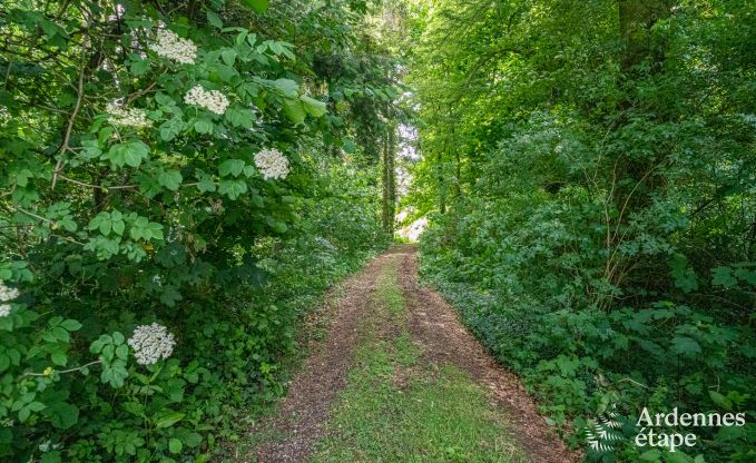 Ruime villa in Assesse, 9 personen met 5 slaapkamers en jullie eigen park