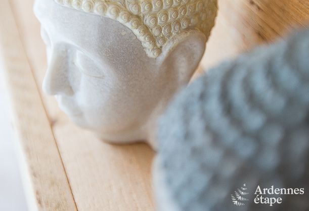 Vakantiehuis in Aubel voor 45 personen in de Ardennen