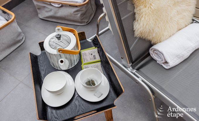 Vakantiehuis in Aubel voor 18 personen in de Ardennen