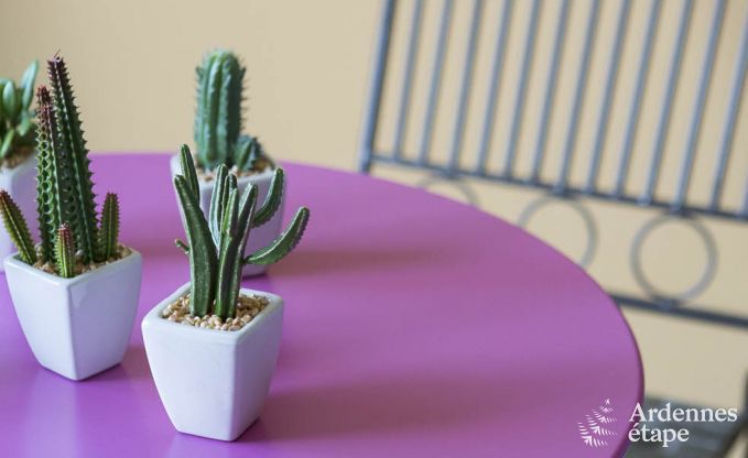 Kasteel in Aubel voor 28 personen in de Ardennen