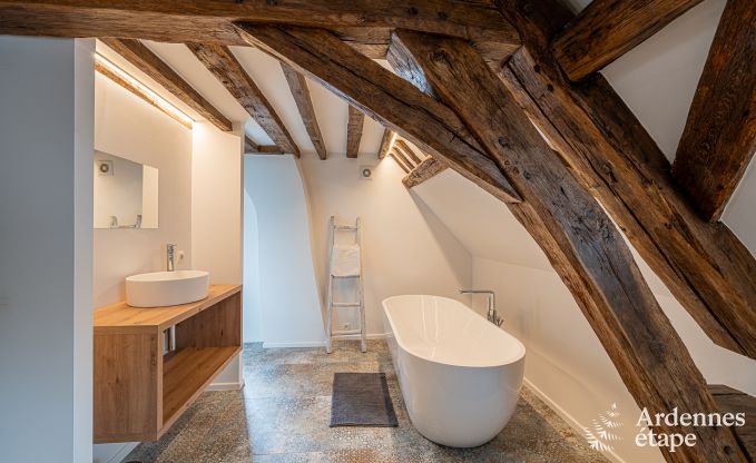 Ruime luxe villa voor groepen tot 15 personen aan het water in Aywaille