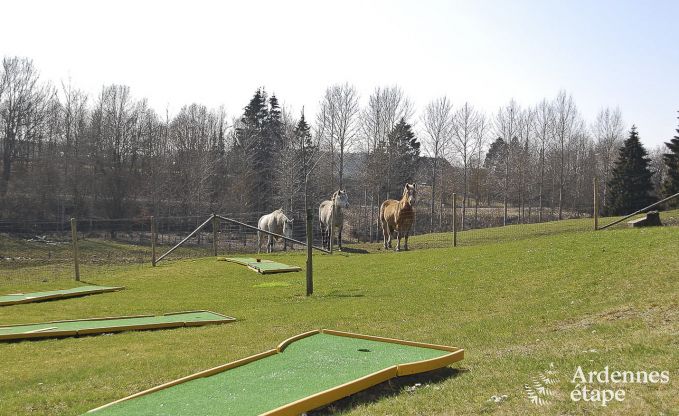 Vakantiehuis in Bastogne voor 12 personen in de Ardennen