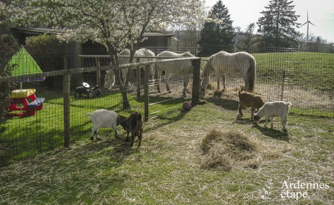 Vakantiehuis in Bastogne voor 12 personen in de Ardennen
