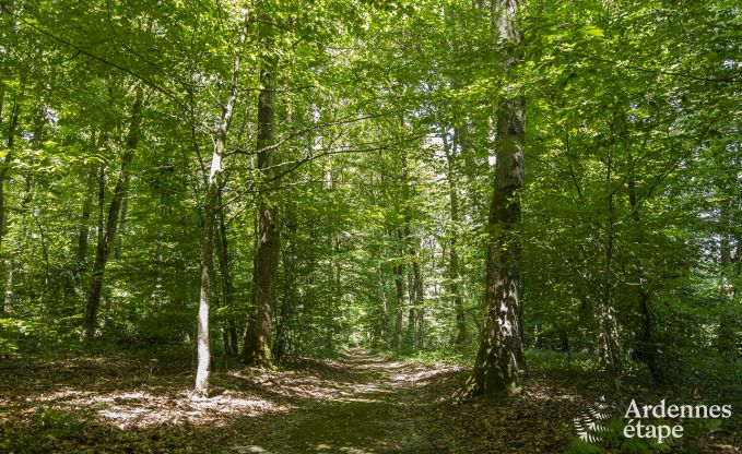 Kasteel in Bastogne voor 12/15 personen in de Ardennen
