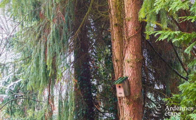 Vakantiehuis in Bastogne voor 4 personen in de Ardennen
