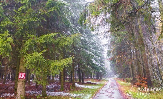 Vakantiehuis in Bastogne voor 4 personen in de Ardennen