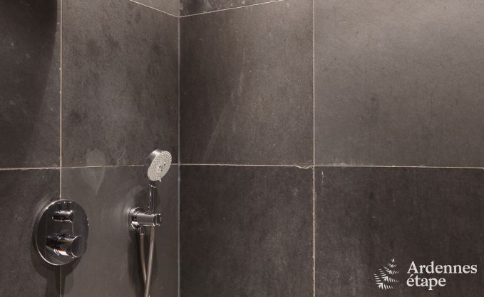 Kasteel in Beauraing voor 6 personen in de Ardennen