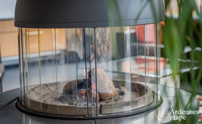 Charmante en ruime vakantiewoning met zwembad in Beauraing, Ardennen