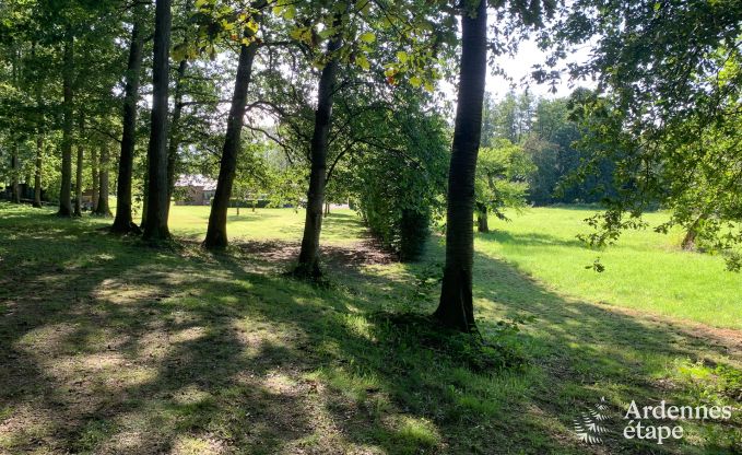 Charmante en ruime vakantiewoning met zwembad in Beauraing, Ardennen