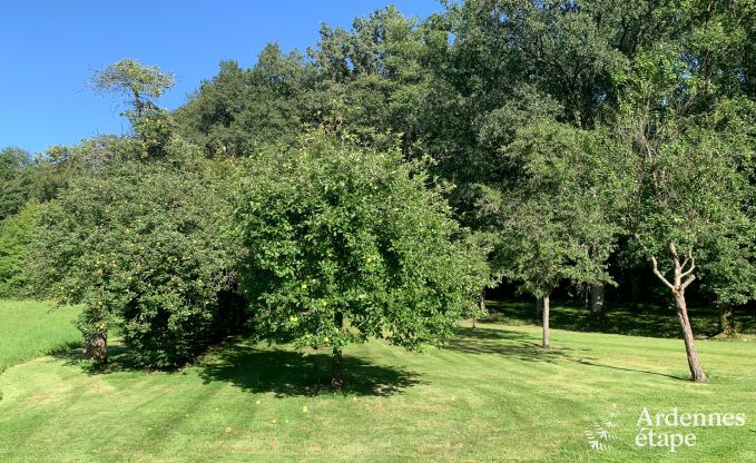 Charmante en ruime vakantiewoning met zwembad in Beauraing, Ardennen