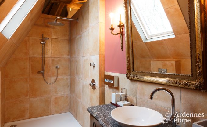 Kasteel in Beauraing voor 12 personen in de Ardennen