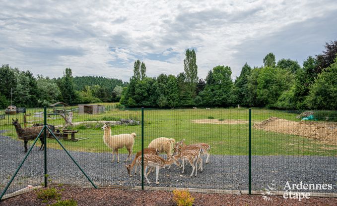 Kasteel in Beauraing voor 20 personen in de Ardennen