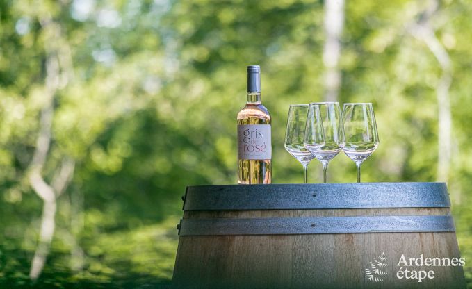 Luxe villa in Beauraing voor 18 personen in de Ardennen