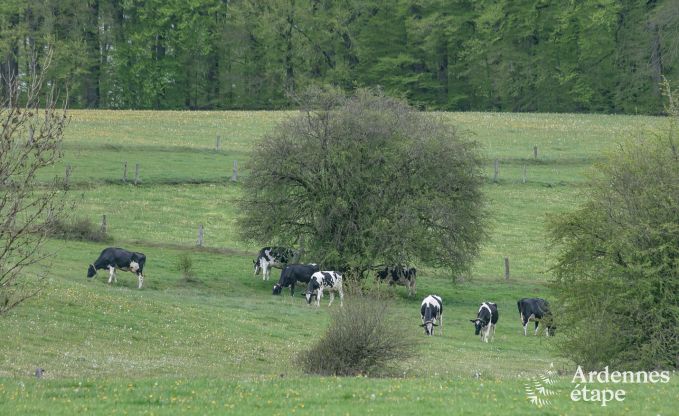 Vakantie op de boerderij in Bertrix voor 4 personen in de Ardennen