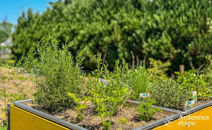 Gezinsvriendelijk vakantiehuis voor 8 personen en 2 honden in Jehonville