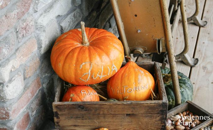 Vakantiehuis in Bertrix voor 6 personen in de Ardennen