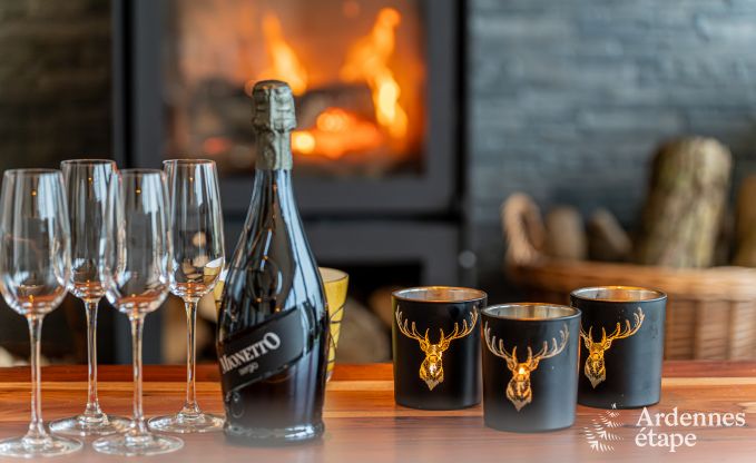 Vakantiewoning in Bivre: huisdiervriendelijk comfort voor 12 personen met sauna  in de Ardennen