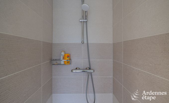 Vakantiewoning in Bivre: huisdiervriendelijk comfort voor 12 personen met sauna  in de Ardennen