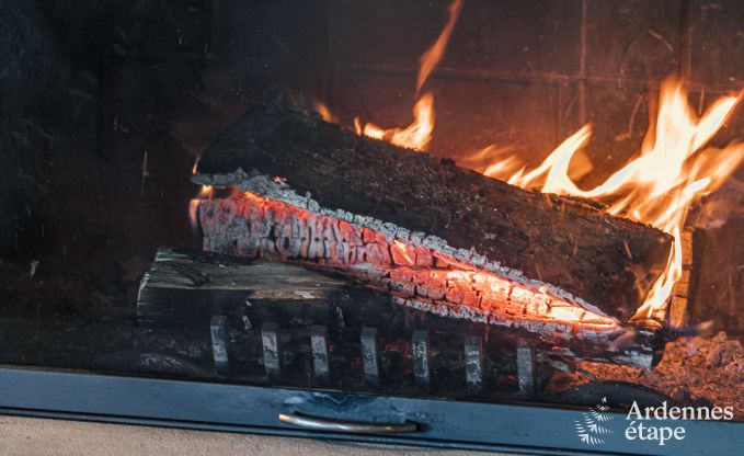 Vakantiehuis in Bi�vre voor 8 personen in de Ardennen