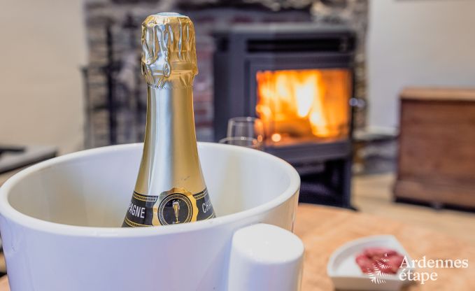 Vakantiehuis in Bi�vre voor 7 personen in de Ardennen