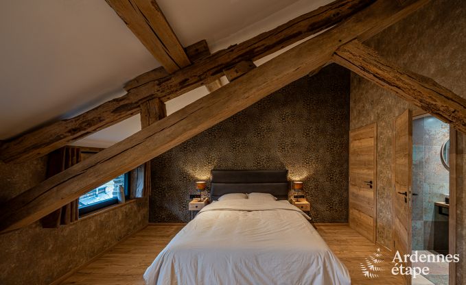 Ruime en comfortabel vakantiehuis in Bouillon, Ardennen