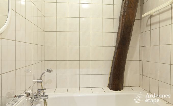 Vakantiehuis in Bouillon (Ucimont) voor 8 personen in de Ardennen