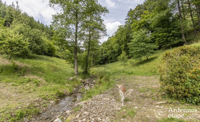 Luxe villa in Bouillon voor 20 personen in de Ardennen