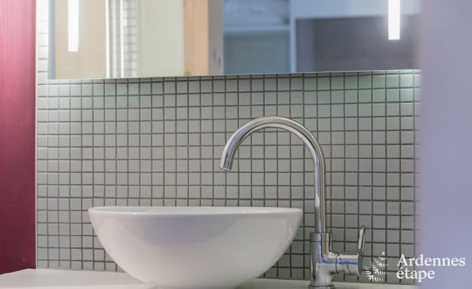 Vakantiehuis in Bouillon voor 18 personen in de Ardennen