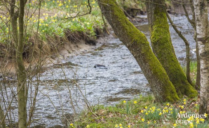 Chalet in Bullingen voor 6 personen in de Ardennen